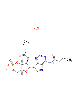 N-6,O-2- 3:5-CYCLIC MONOPHOSPHATESALTṹʽ_123334-06-5ṹʽ