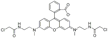 N,N-[2-()һ]-N,N-׻õ徫ṹʽ_203580-79-4ṹʽ