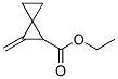 (9ci)-2-Ǽ׻-[2.2]ṹʽ_138469-28-0ṹʽ