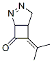 6-(1-׻һ)-2,3-˫[3.2.0]-2-ϩ-7-ͪṹʽ_344747-77-9ṹʽ