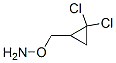 (9ci)-o-[(2,2-Ȼ)׻]-ǰṹʽ_784089-71-0ṹʽ