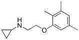 (8ci)-n-[2-(2,3,5-׻)һ]-ṹʽ_802834-89-5ṹʽ