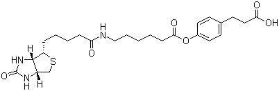 3-(4-(N--6-Ȼ))ṹʽ_83592-10-3ṹʽ