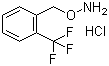 O-[2-(׻)л]ǰνṹʽ_215599-92-1ṹʽ