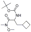 N-[1-(׻)-2-(׻)-2-һ]-1,1-׻ṹʽ_394735-18-3ṹʽ