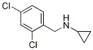 -(2,4--л)-ṹʽ_892568-95-5ṹʽ