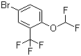 4--1-()-2-(׻)ṹʽ_954236-13-6ṹʽ