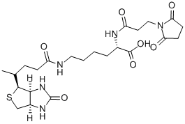 N-(3-ǰ)ؽṹʽ_102849-12-7ṹʽ