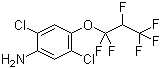 2,5--4-(1,1,2,3,3,3-)ṹʽ_103015-84-5ṹʽ