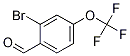 2--4-()ȩṹʽ_1114808-87-5ṹʽ