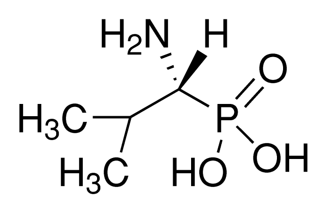 (1R)-(+)-(1--2-׻)ṹʽ_66254-56-6ṹʽ