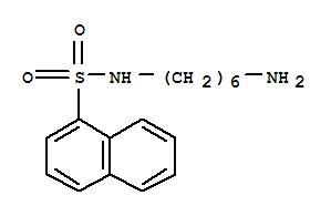 N-(6-)-1-ṹʽ_79458-81-4ṹʽ