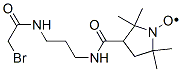 3-(3-(2-))-2,2,5,5-ļ׻-1-ṹʽ_100900-11-6ṹʽ