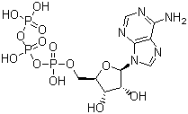 5-սṹʽ_56-65-5ṹʽ