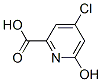 4--6-ǻ-2-ṹʽ_959244-16-7ṹʽ